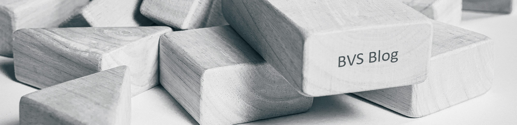 BVS Blog Header Image